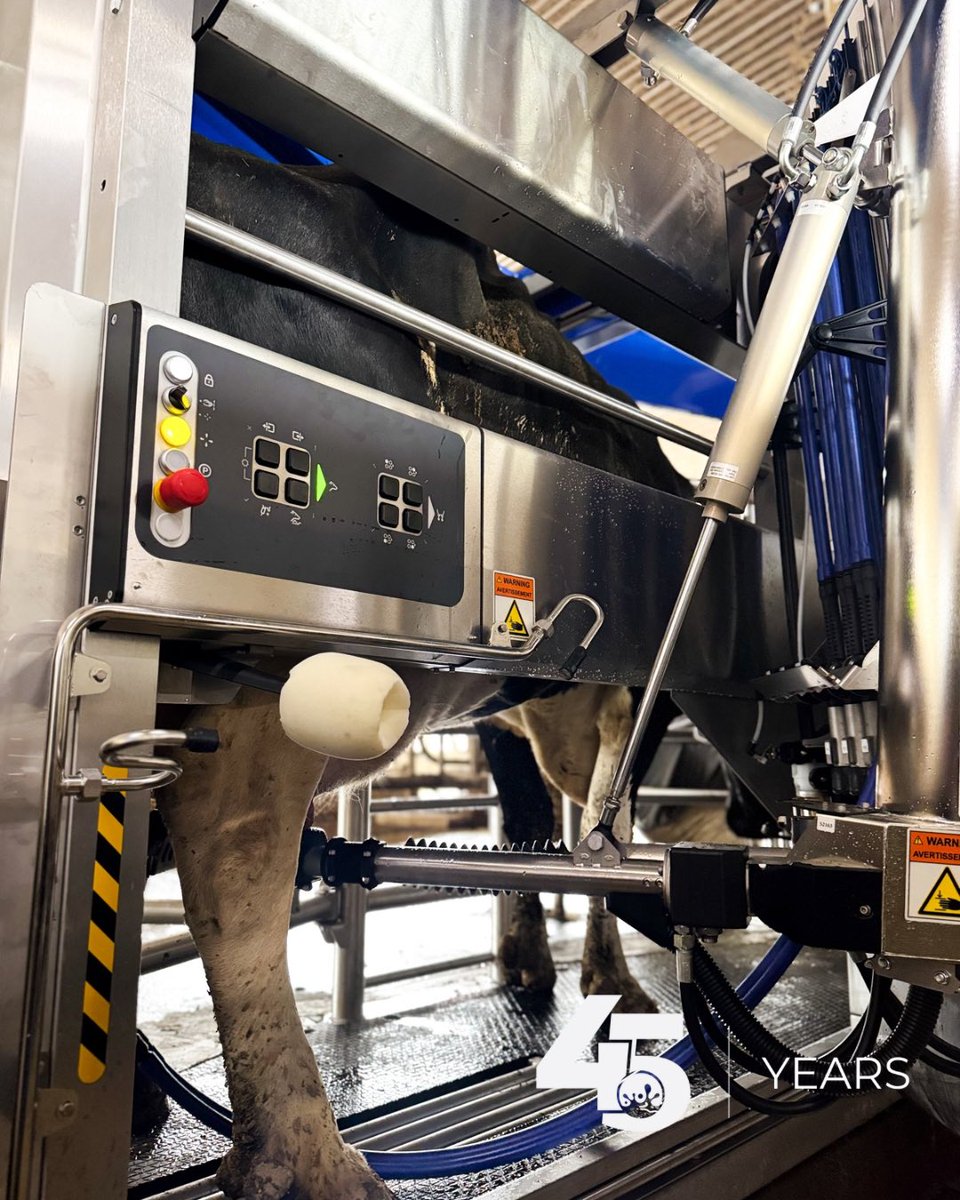 Our team rocked the third DeLaval VMS V300 upgrade today at One Oak Farms! 💪

From precision installs to fine-tuned calibrations, this crew brought the skill, focus, and teamwork to get the job done right.

Check out these shots from the action — Teamwork at its best!

Are you