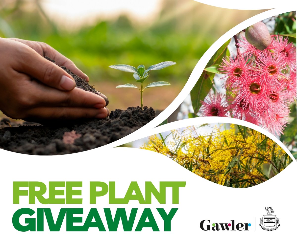 Free Plant Giveaway 🌳🌷

Across June and July, Council will be giving away approximately 1000 native tubestock plants across four events!

For more information and to register for one of our collection sessions, visit: gawler.sa.gov.au/about-gawler/l…