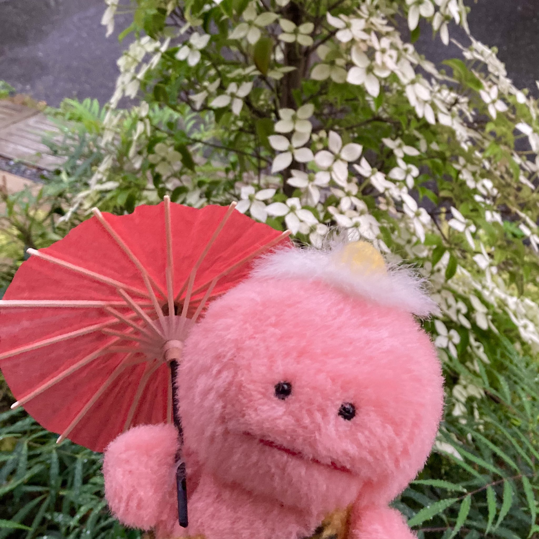 ピカポン！ on X: 