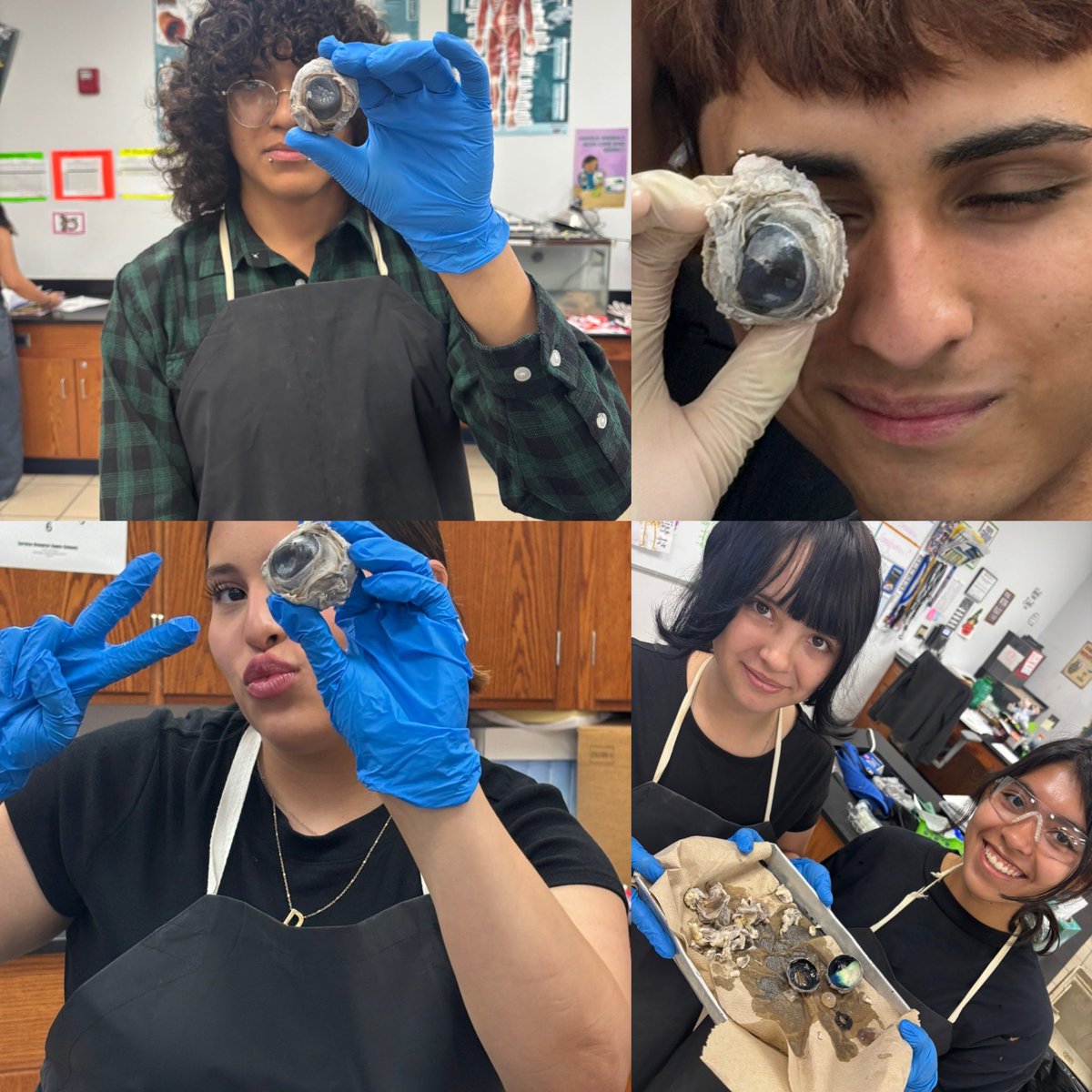 aluna0707's tweet image. 👁️ 🫀U (Eye Heart U) last dissections of the school year!!! #drlunasclass #SanEliManoAMano #SEHStheBest #CTEworks #PLTWclassroom