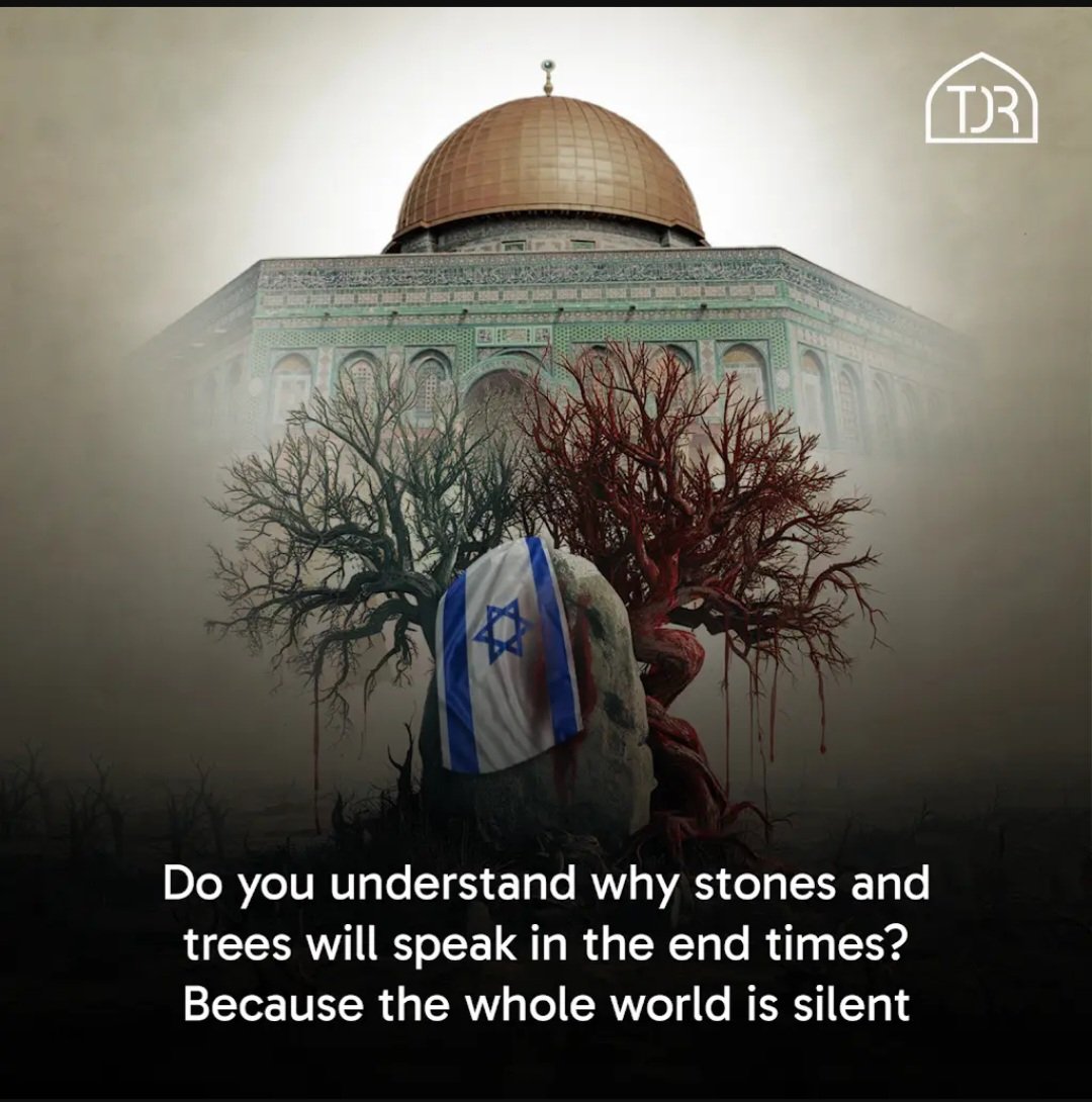 Maria__Ismail's tweet image. #Palestine 
#Israel_Enemy_of_Humanity 
#IsraelTerroristState