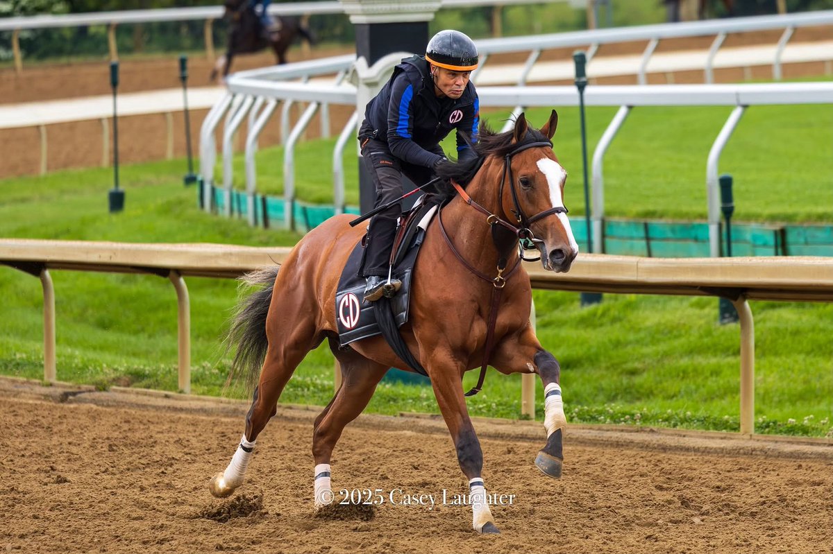 Dr. Agne (Into Mischief o/o Lady Eli) galloping at <a href="/keeneland/">Keeneland</a> for trainer <a href="/reredevaux/">Cherie DeVaux</a> &amp; ownership group <a href="/BelladonnaRaci1/">Belladonna Racing Partnership</a>.

I am looking forward to following his development and career. His mom played a big part in my love for this sport.