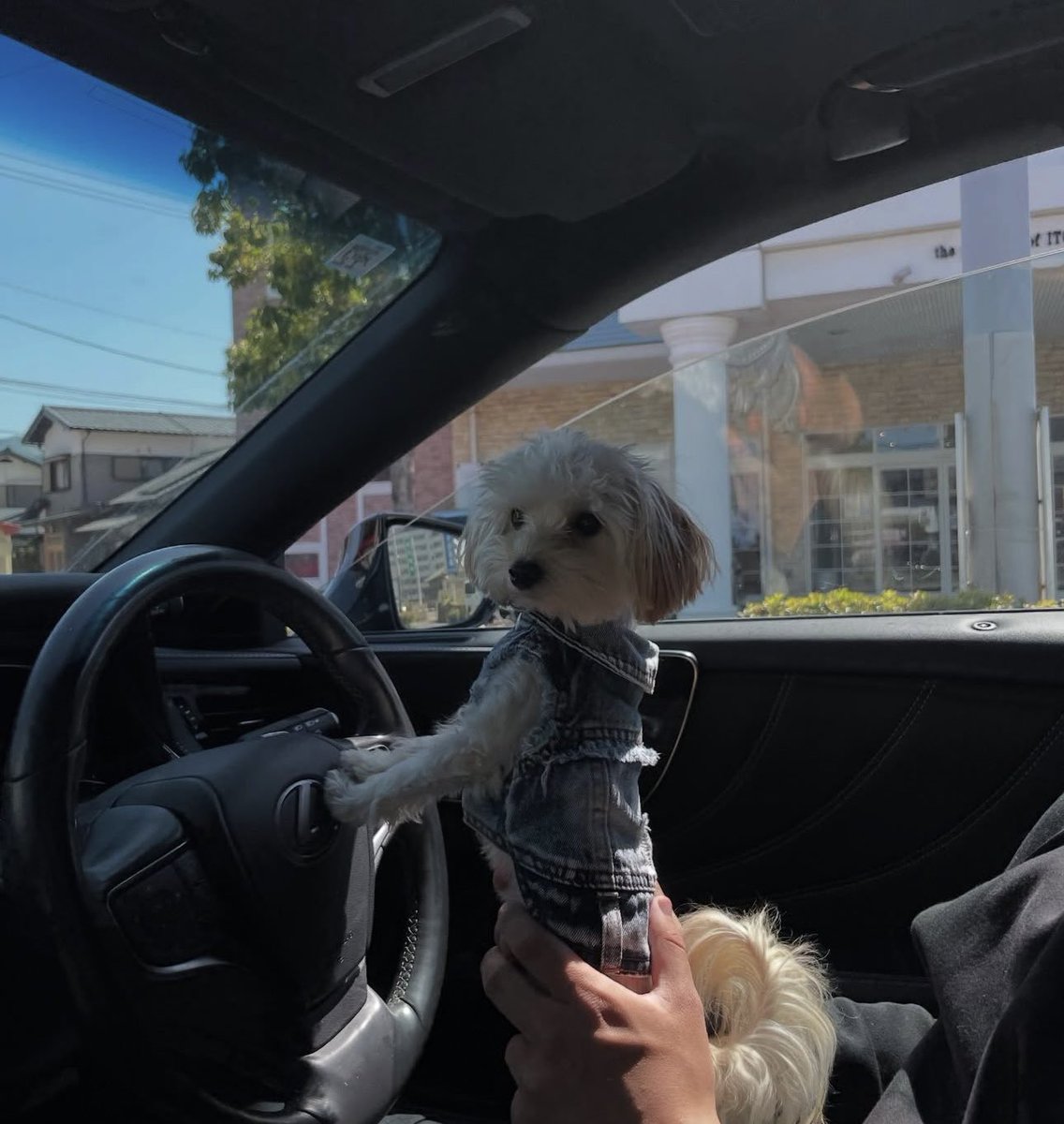 ギリギリ生きてます