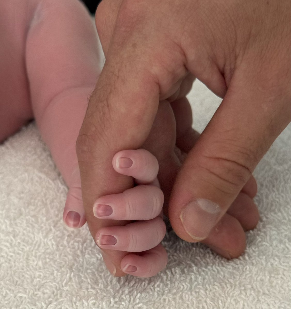 Rep Toby Overdorf tweet media