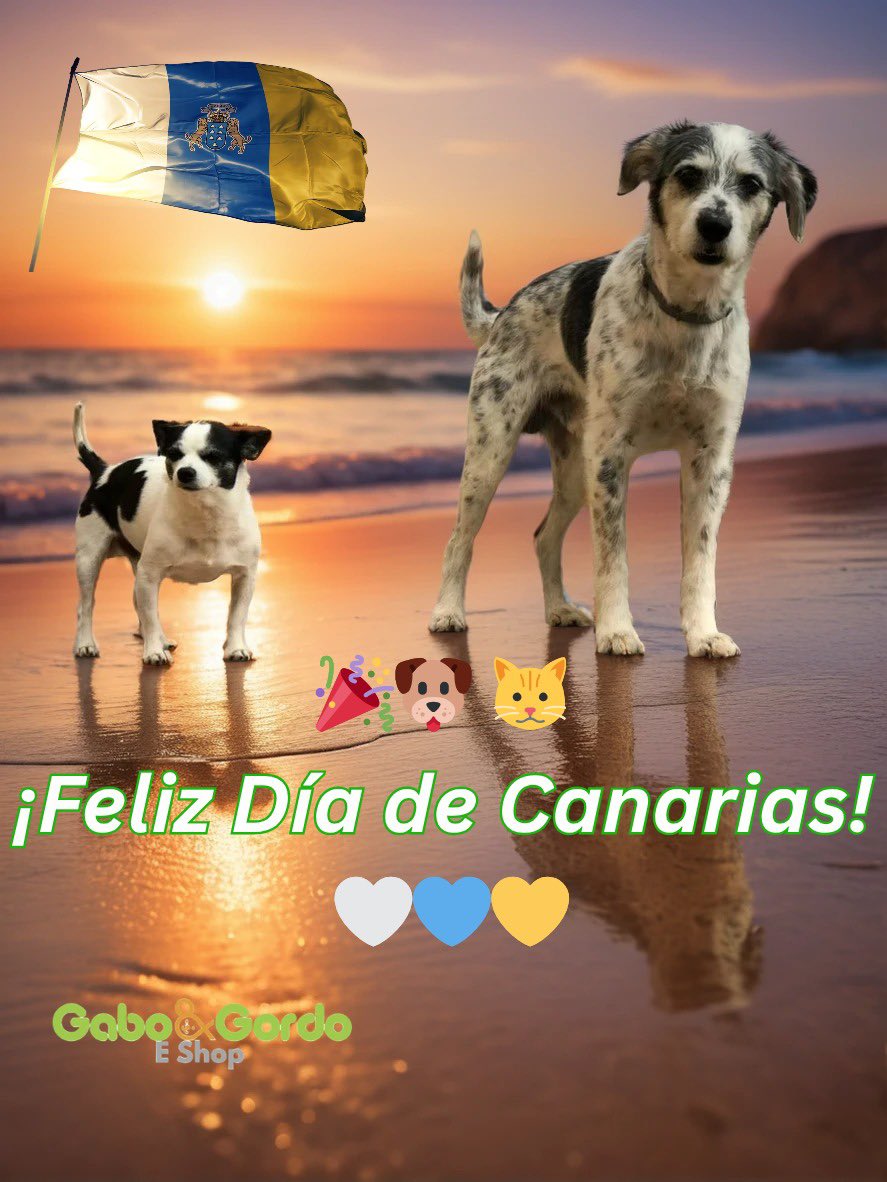 gaboygordopet's tweet image. 🌞🐾 ¡Feliz Día de Canarias! 🇮🇨🌴🎉
Hoy celebramos nuestras raíces, nuestra tierra y nuestra identidad… ¡con nuestras mascotas❤️! 🤍 💙💛 
#DíaDeCanarias #CanariasConMascotas #GaboYGordoEShop #MascotasFelices #OrgulloCanario #PerrosDeCanarias #TiendaOnlineCanaria #30deMayo