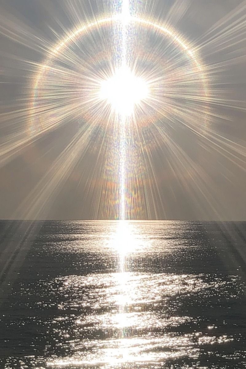 Inhale Clarity.
Exhale Confusion.
🌬️✨🤍

Return To Heart Center. 💚

Feel The Light Within Your Soul. ☀️ 
🔥❤️‍🔥🕯️❤️‍🔥🔥