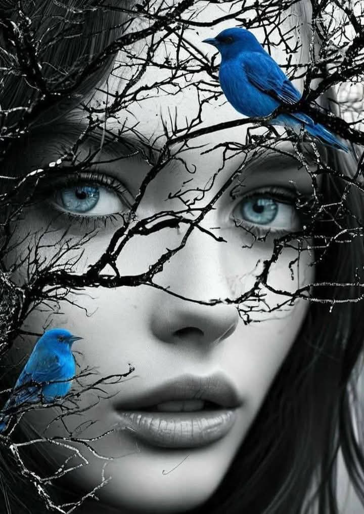 Mary_Sol. ❤️🌹 (@marycastro54) on Twitter photo 