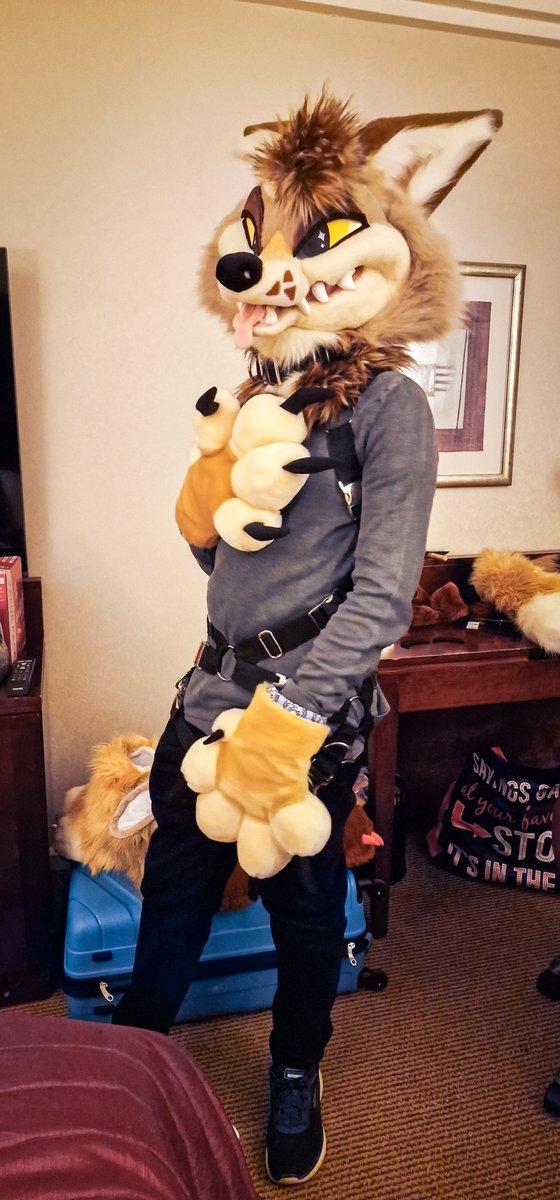 Ctahrpoe 🔜 CFZ tweet media