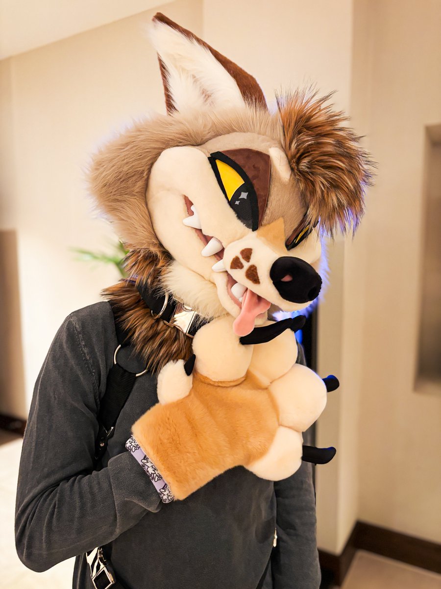 Ctahrpoe 🔜 CFZ tweet media