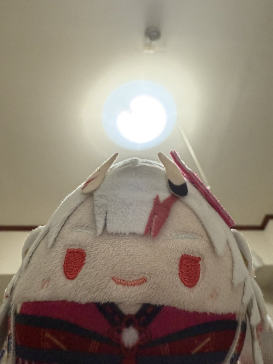 uttodesu's tweet image. おはようございます〜☀（╹◡╹）