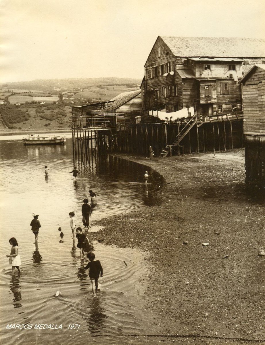 Luis Mancilla tweet media