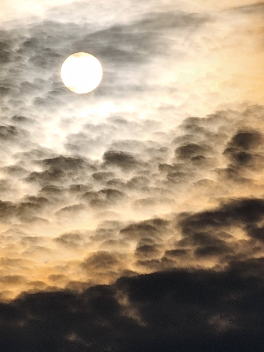 Brian cornect (@modernclassic99) on Twitter photo 