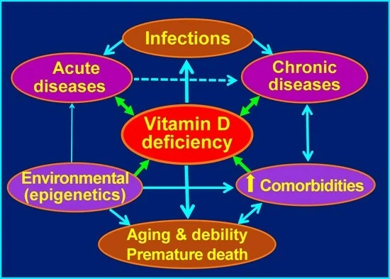 SJWimalawansa's tweet photo. Physiology of Vitamin D—Focusing on Disease Prevention: by Sunil J. Wimalawansa 
Nutrients 2024, 16(11), 1666; May 2024

https://t.co/gSICWqqoTT

This review presents novel findings related to the physiology of vitamin D that have significant implications for disease prevention. https://t.co/4hkwnujrwN
