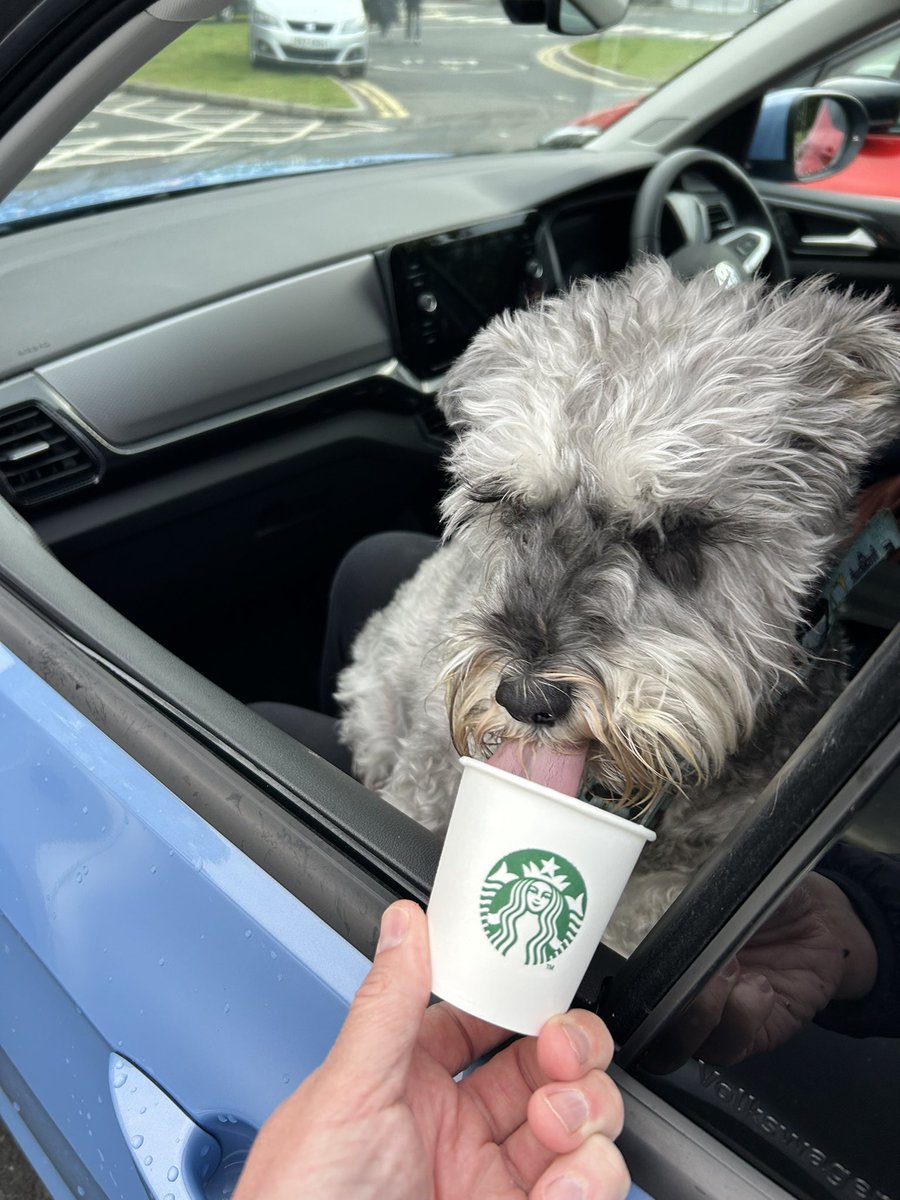 Ian Collen 🇪🇺 tweet media