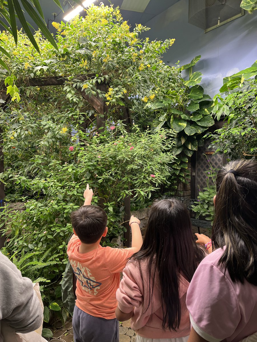 Karly Schmitt tweet media