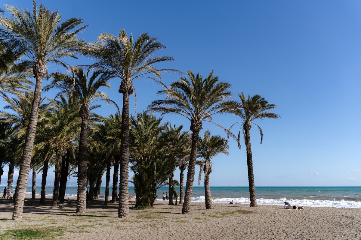 happylittletrav's tweet image. Are you looking for beautiful beaches in Southern Spain? From Cadiz to Almeria, we've got your sandy escape covered! Check out our top picks &amp;amp; find your perfect stretch of sand for your next getaway☀️🏖️

➡️ happylittletraveler.com/best-beaches-i…

#traveling #SpainTravel #beachtime