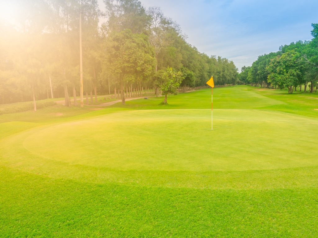 With high temperatures forecasted, it may well be worth looking at your current wetting agent programme to make sure you are using the correct product for your surfaces.

Amenity Specialist @RayHunt1977 gives a few tips on the use of wetting agents: amenity.agrovista.co.uk/news/2025-05-1…