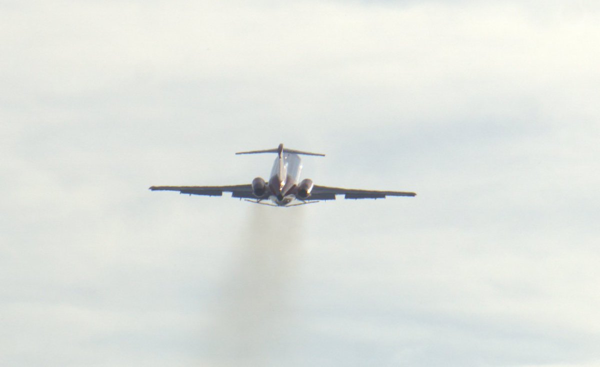 Thomas Curry tweet media