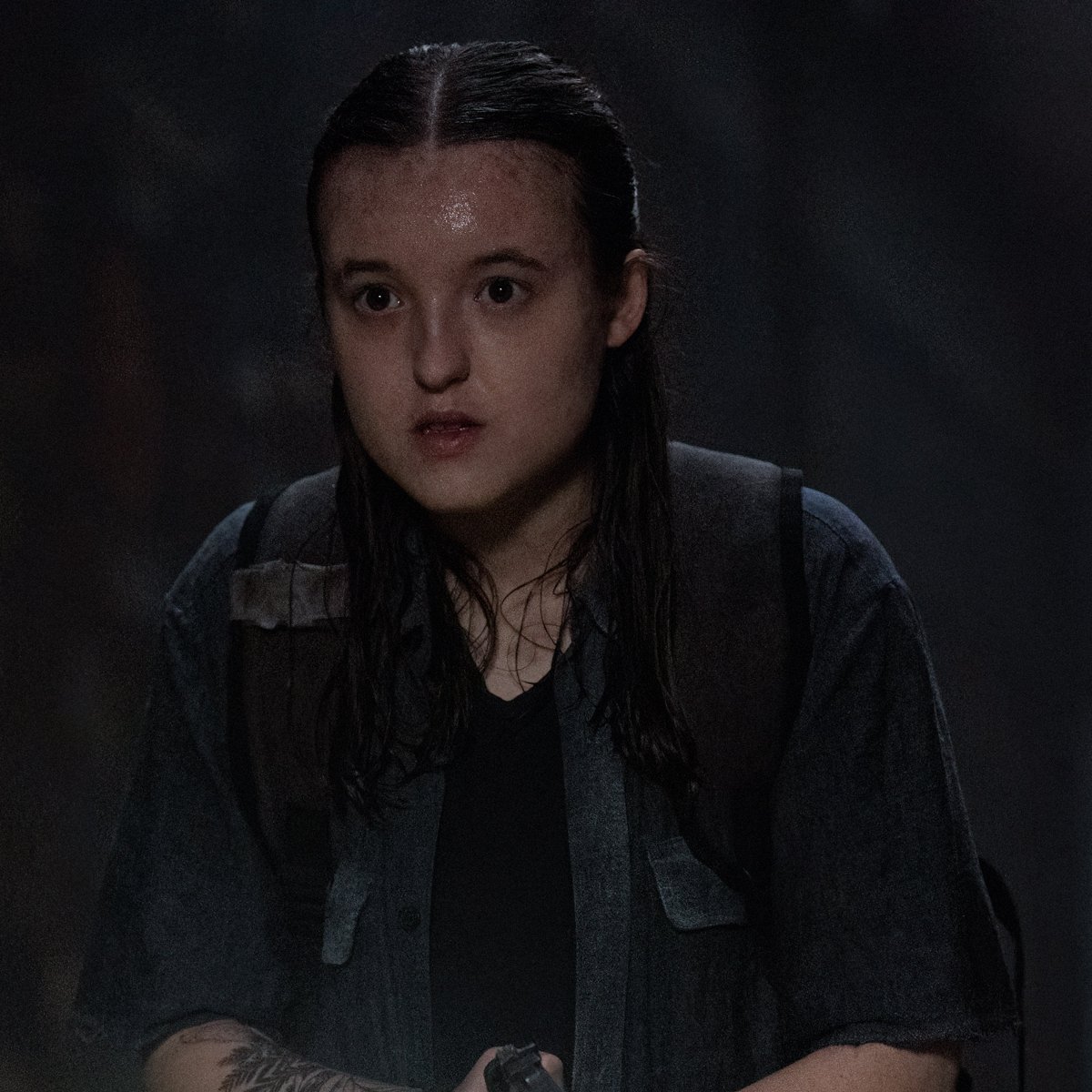 David ミ☆ tweet media