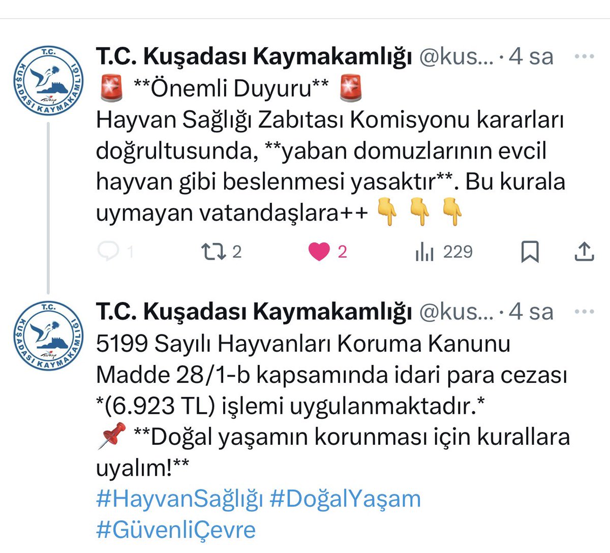 Kuşadası'nda şehre inen yaban domuzlarını beslediği tespit edilen 3 kişiye 20 bin 769 TL para cezası kesildi.