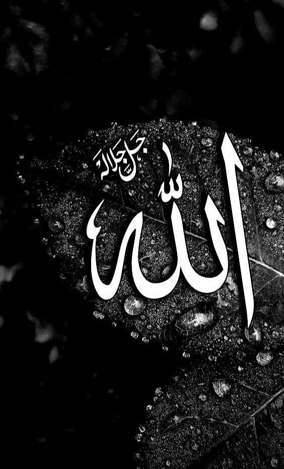 "Şüphesiz Allah, kuluna yeter."

(39/Zümer, 36)