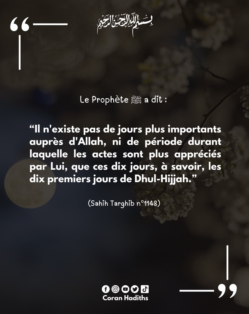 Coran Hadiths (@coran_hadiths) on Twitter photo 