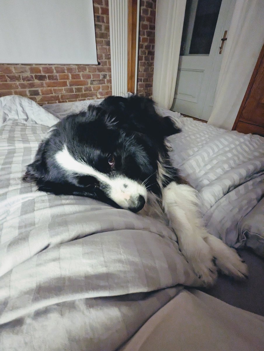 UaBridgebuilder's tweet image. Добраніч!