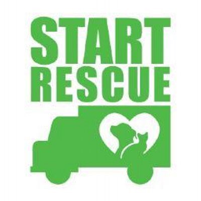 San Chan & Kantaro | Fan Page (@sanchankantaro) on Twitter photo 17 weeks 18 donations over $24000 donated and were just getting started! The latest donation was 1.83 solana to <a href="/STARTRescueTeam/">START Rescue</a>
Project San is gonna change the way normies look at meme coins one donation at a time.
Join the journey 🐕 🐾 🇯🇵 17 weeks 18 donations over $24000 donated and were just getting started! The latest donation was 1.83 solana to <a href="/STARTRescueTeam/">START Rescue</a>
Project San is gonna change the way normies look at meme coins one donation at a time.
Join the journey 🐕 🐾 🇯🇵
