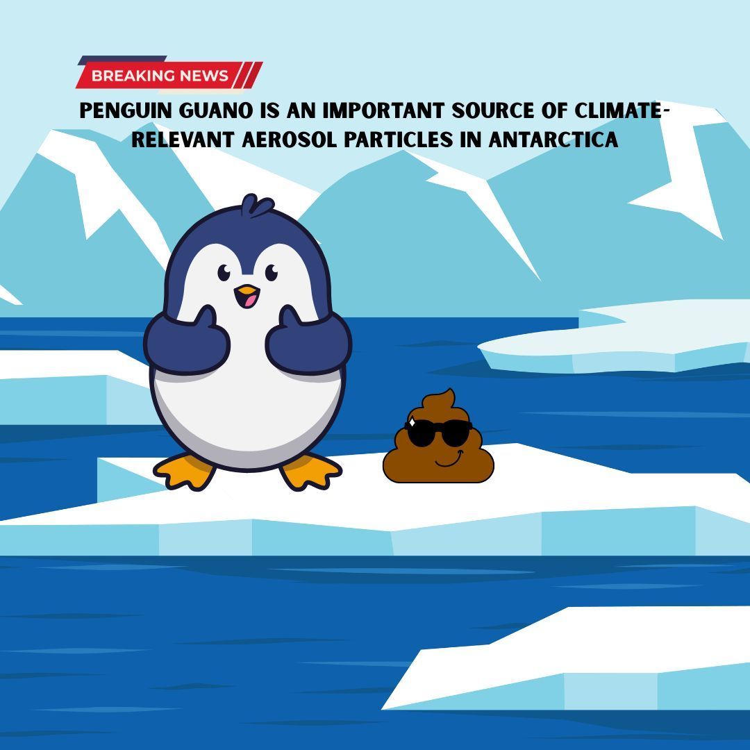 Research shows that ammonia from penguin guano increases cloud cover over coastal Antarctica, potentially cooling the area by blocking sunlight. It's fascinating how nature collaborates this way! More details: nature.com/articles/s4324… bit.ly/4kBX8WL