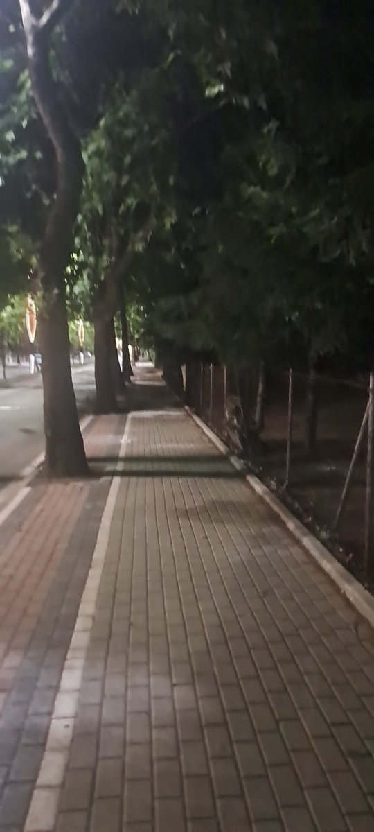 Bir yerden başka yere varmak için degil, sadece spor olsun diye yürüyoruz.