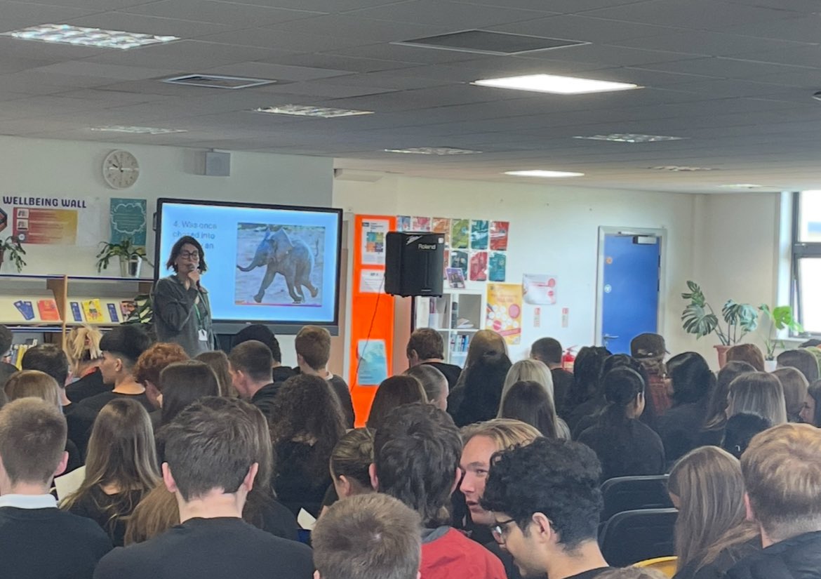 Alison Clark tweet media