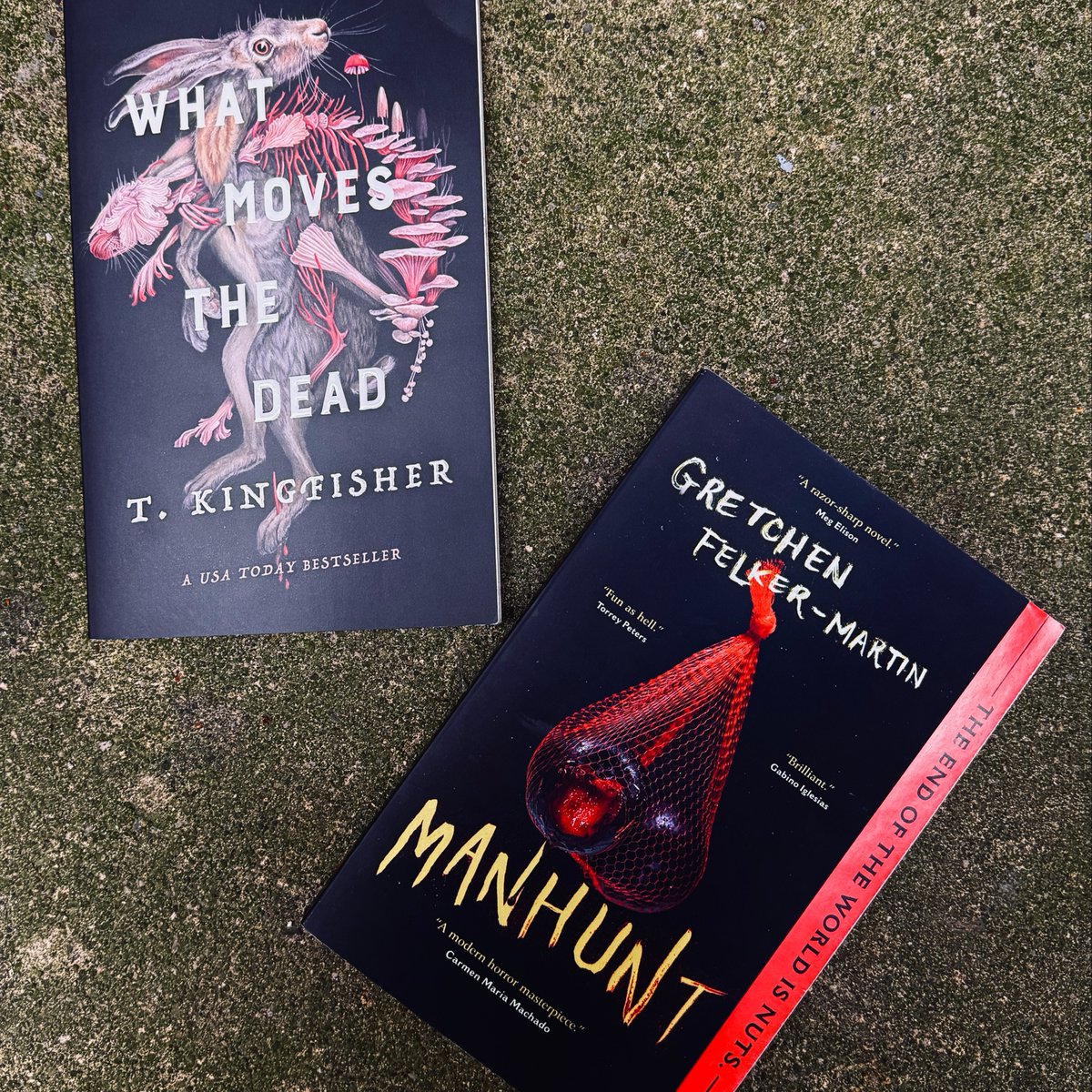 Nightfire Books (@tornightfire) on Twitter photo Need something to fill The Last of Us sized hole in your life? <a href="/nytimes/">The New York Times</a> recommends Manhunt by <a href="/scumbelievable/">Gretchen Felker-Martin</a> and What Moves the Dead by T. Kingfisher <a href="/UrsulaV/">Kingfisher & Wombat</a>😈🔪🍄
nytimes.com/2025/05/26/boo… Need something to fill The Last of Us sized hole in your life? <a href="/nytimes/">The New York Times</a> recommends Manhunt by <a href="/scumbelievable/">Gretchen Felker-Martin</a> and What Moves the Dead by T. Kingfisher <a href="/UrsulaV/">Kingfisher & Wombat</a>😈🔪🍄
nytimes.com/2025/05/26/boo…