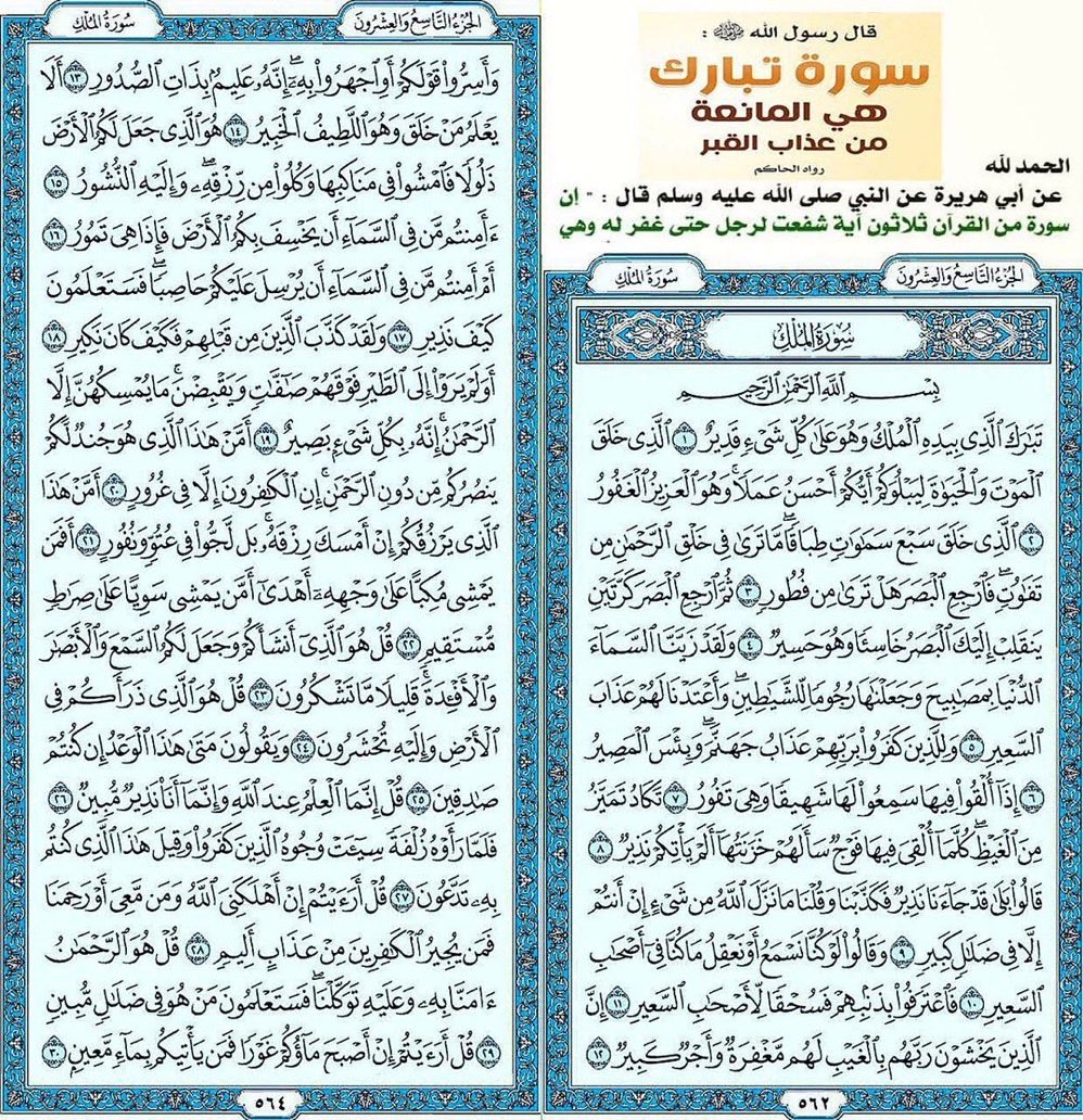 Abu Samy أبوسامي tweet media