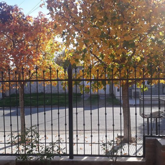 Humilde pero prolijo el barrio y las rejas de la gringa!!
El otoño en su espelendor
Guten tag