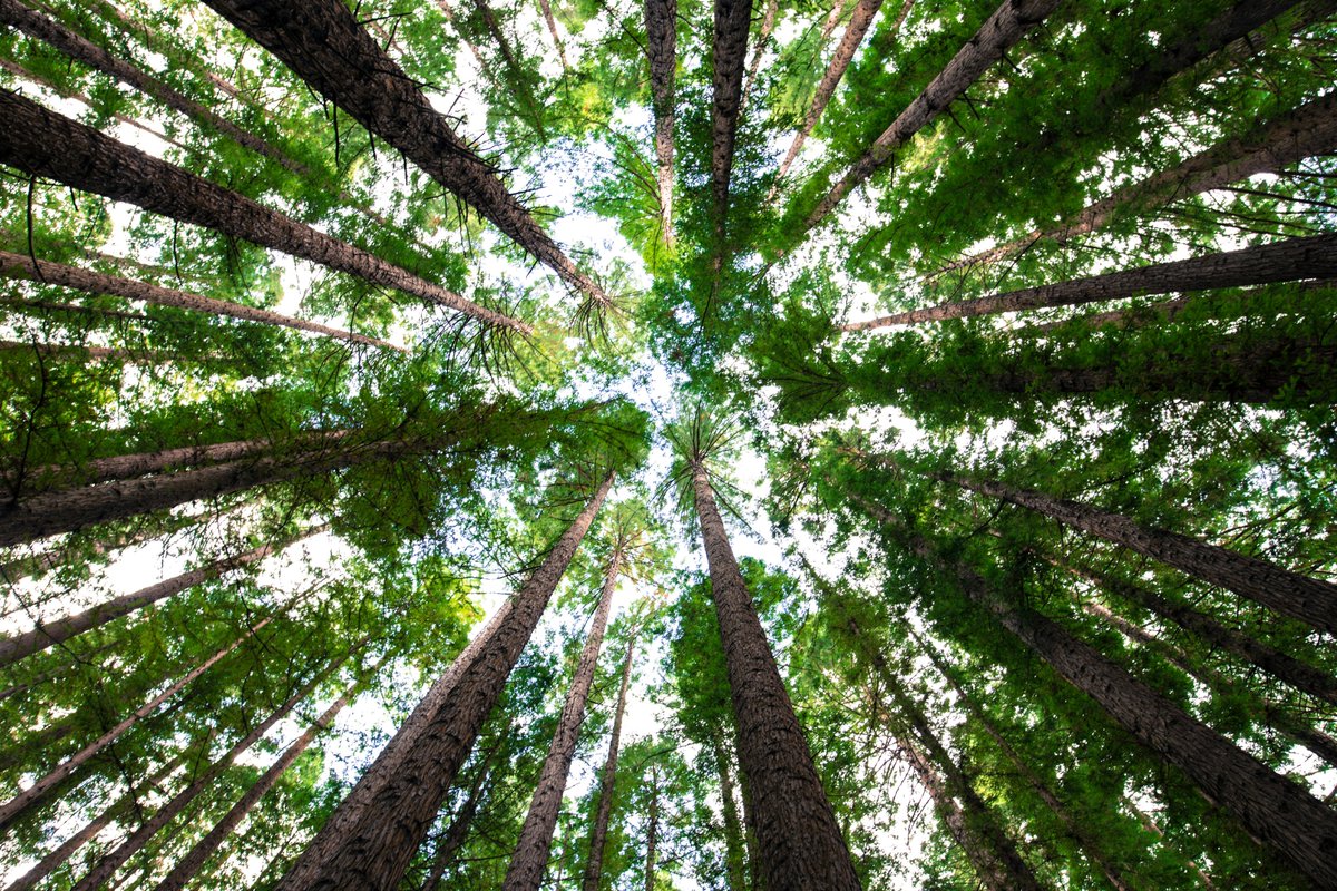 Mission Encodeable (@missionencode) on Twitter photo We're excited to share our first guest blog post! <a href="/digitallcharity/">Digitall</a> CEO, <a href="/PeterMarshman/">Peter Marshman FCCT</a>, introduces his exciting new initiative called Coding for Climate Action - aiming to address climate change through hands-on, project-based coding.
🖊️ Read the article: missionencodeable.com/blog/coding-fo… We're excited to share our first guest blog post! <a href="/digitallcharity/">Digitall</a> CEO, <a href="/PeterMarshman/">Peter Marshman FCCT</a>, introduces his exciting new initiative called Coding for Climate Action - aiming to address climate change through hands-on, project-based coding.
🖊️ Read the article: missionencodeable.com/blog/coding-fo…