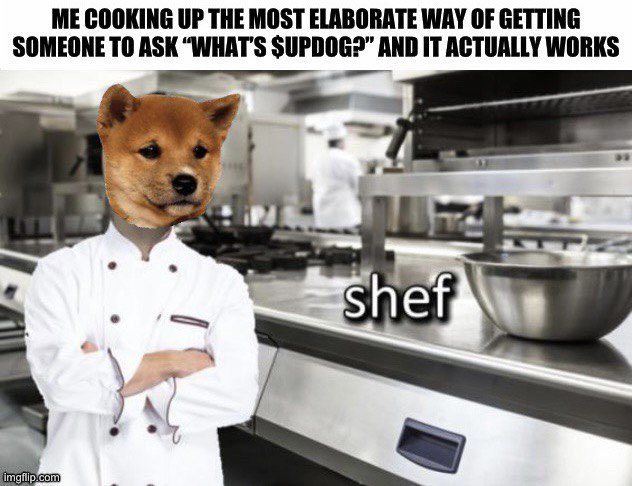 Hosting clients for a cooking event tonight 👨‍🍳 

In a few hours I’ll be a pro in Spanish Tapas 👍 #Pintxos 

Time to dazzle those tastebuds and cook $UPDOG 🐶 👨‍🍳
