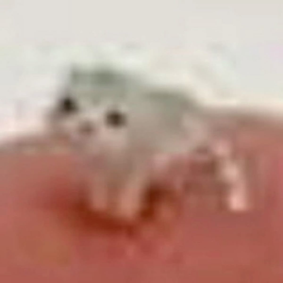 smoltrenthebean's tweet photo. H-hey guys this is me if you care.. https://t.co/re60kLpteP