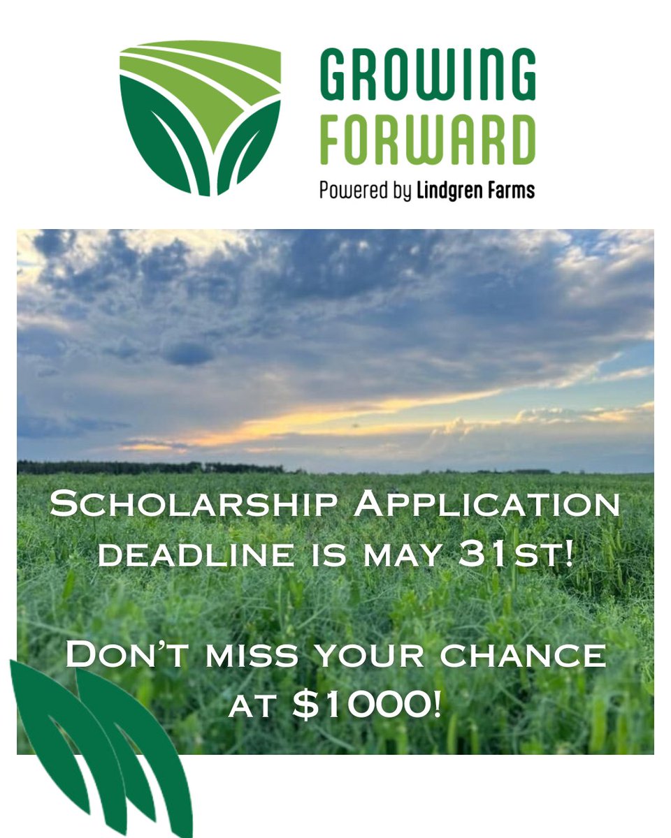 If you're a high school grad passionate about agriculture, this $1000 scholarship could be yours. 
Apply now with a video submission to be the voice of change in the industry. 

Go to the link to find out more:
lindgrenfarms.ca/growing-forward 

#AgStudents #CdnAg #Sask #SaskAg