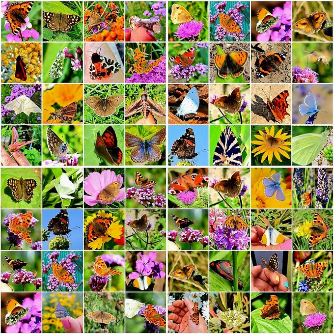 menscave7's tweet image. Look Awesome Estate Sale Vintage on sale! Check out Menscave7 ebay.us/m/shvVXc #eBayfinds
#Antiques