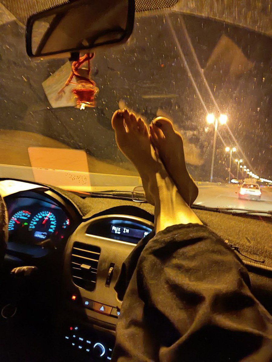 دیکتاتورِ بالرین🦩 tweet media