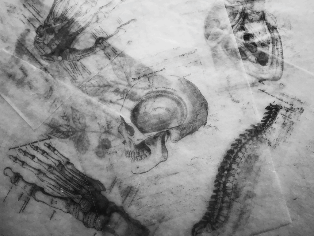 "Sensuously, carefully, like any pressure would till his skin and give way to pores that would erode the glow he'd struggled so hard to cultivate."

from Enyinna Nnabuihe's fiction piece, "The Anatomy of a Boy Who Never Became a Man"

Read more via link 
porterhousereview.org/articles/the-a…