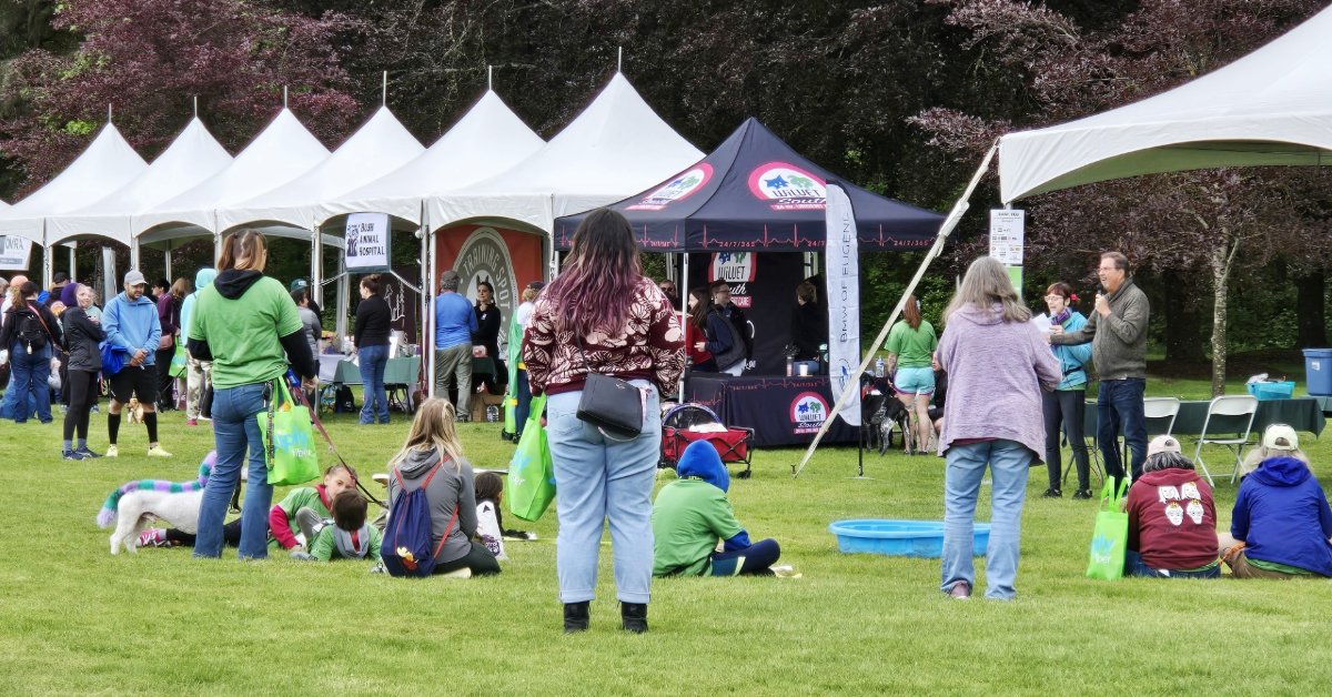 We sure were wagging our tails at Bark in the Park, a fundraiser for <a href="/GreenhillHumane/">Greenhill Humane</a> in Eugene, OR. We offered free pup cups to our adorable four-legged friends while chatting with their fur parents about our super-fast internet services. Woof! 🐶