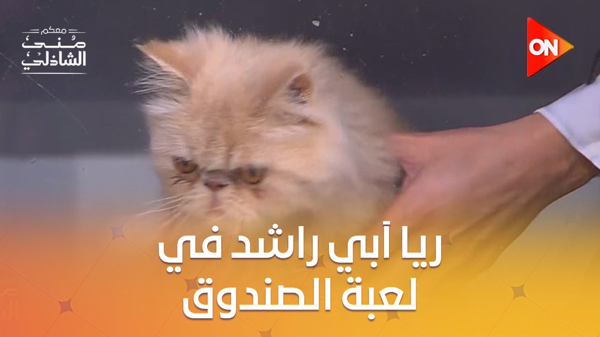 خافت من البطة! لعبة الصندوق مع ريا آبي راشد #معكم_منى_الشاذلي خافت من البطة! لعبة الصندوق مع ريا آبي راشد #معكم_منى_الشاذلي