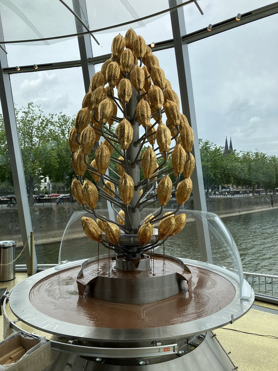 MFL Department at Bolton School Girls' Division tweet media