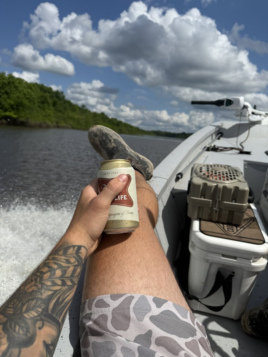 Been gone a while, we still living the high life