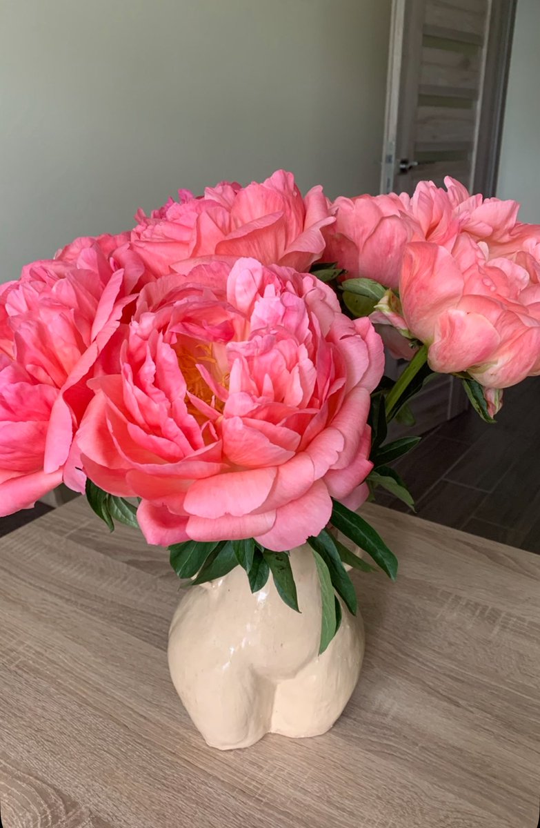 Не бачила ще гарніших півоній