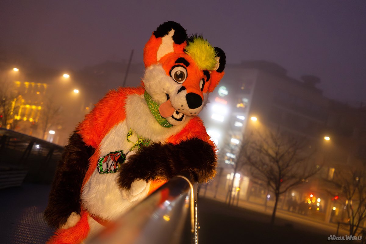 Pepper Fox 🔜Furizon (@pepperfox10) on Twitter photo Thinking about my next adventure~
📸: <a href="/VazulWolf/">Vazul 🔜 Cesfur</a>
#FursuitFriday #furry #fursuit #fursuiter #furryfandom Thinking about my next adventure~
📸: <a href="/VazulWolf/">Vazul 🔜 Cesfur</a>
#FursuitFriday #furry #fursuit #fursuiter #furryfandom