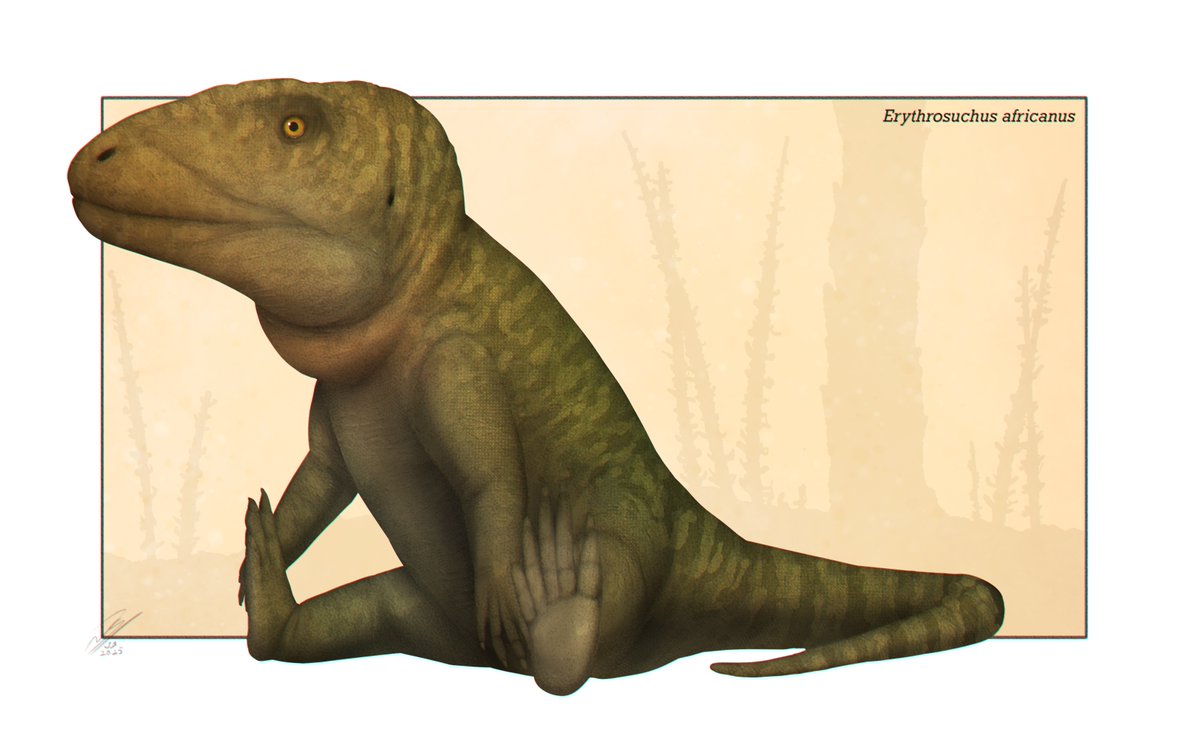 This young Erythrosuchus is having *a day*