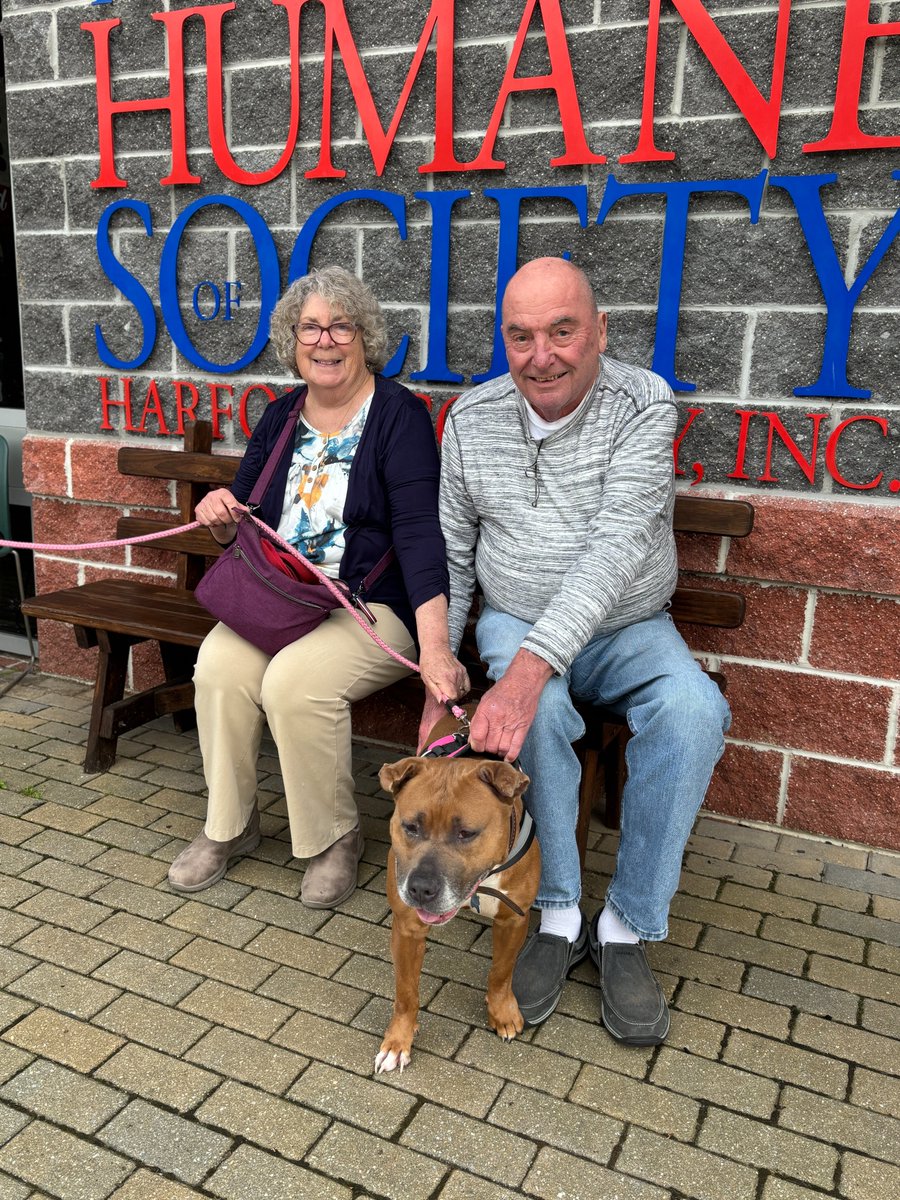 🎉 Nellie is outta here! 🐾💨

Our sweet girl has packed up her toys, said her goodbyes, and headed off to her forever home! Wishing Nellie and her new family a lifetime of love, belly rubs, and happy adventures. 💕🏡

#Adopted #HappyTails #NellieFoundHome #FromShelterToSofa