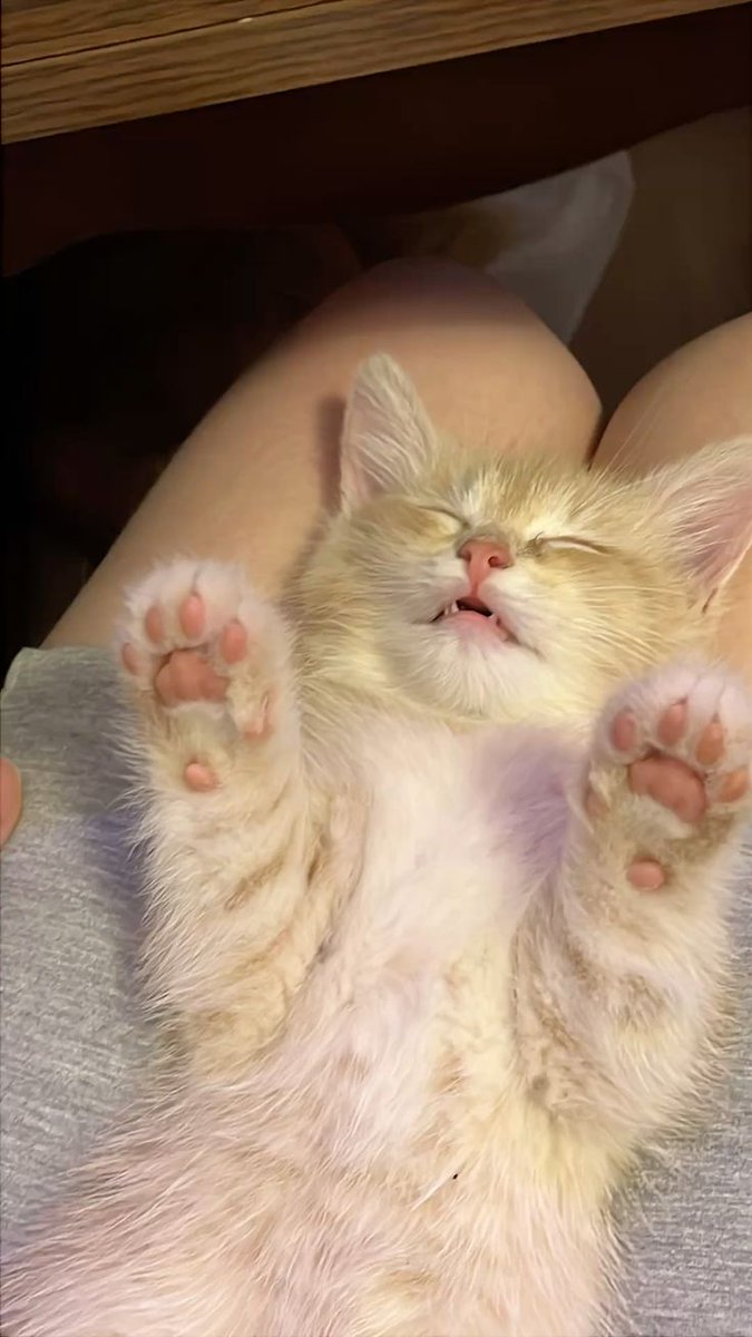 MAGA United community...thank you 
I'm still following back 
4k is the goal 
Please Repost 🙏